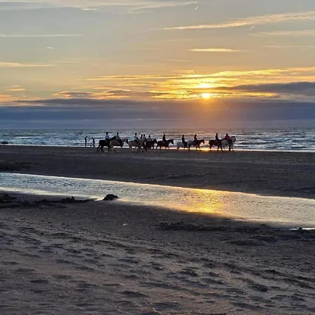 Near Belgian Coastline Beach, Cleaning Included